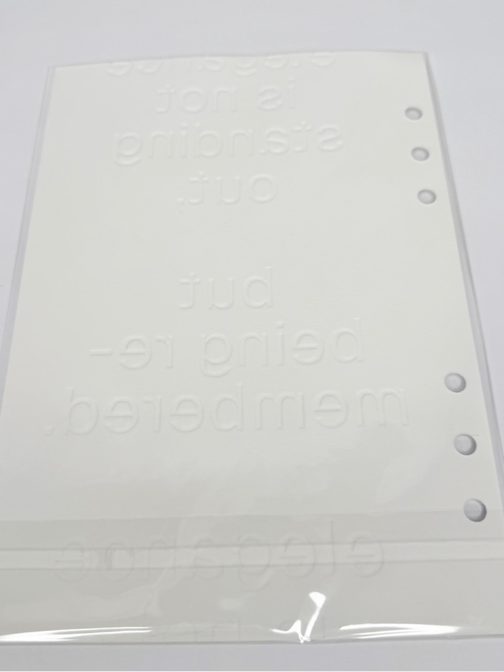 Cloth & Paper bundle: A5 size embossed dashboard, page flags & dot stickers. - Picture 4 of 11